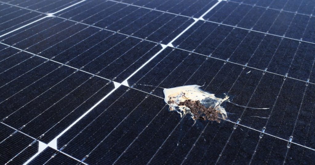 Solar Panel Scams: 7 Red Flags to Avoid