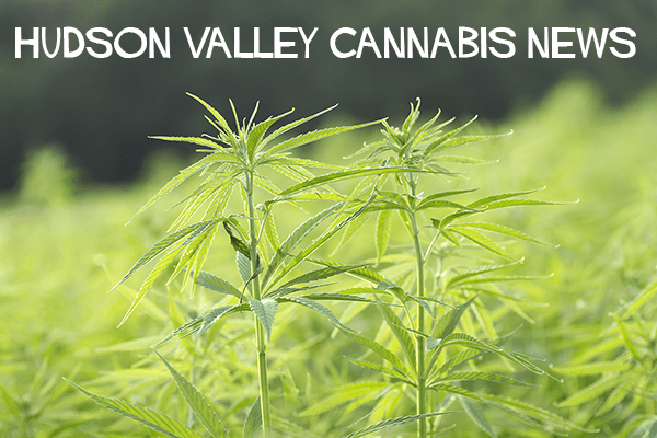 Hudson Valley Cannabis News – Rockland County Business Journal