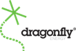 Dragonfly Energy Puts Education First by Partnering with Florida’s Largest RV Trade Association for Lithium Power Training