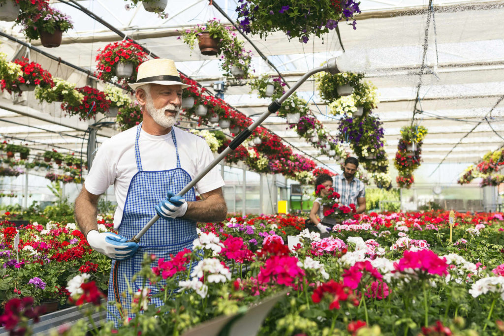 The U.S. Retirement System Got a C+ — Here’s How to Save More